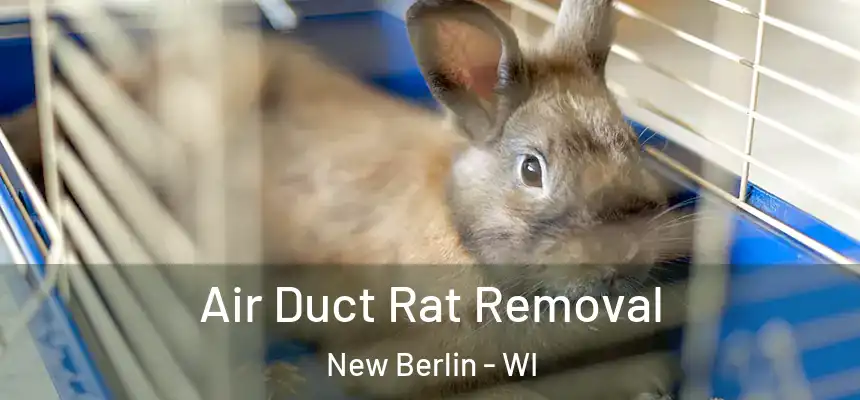  Air Duct Rat Removal New Berlin - WI