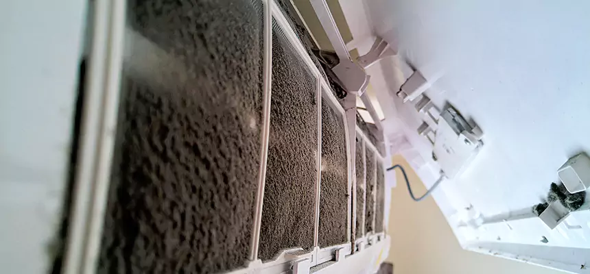 Preventive Air Duct Bacteria Removal in New Berlin