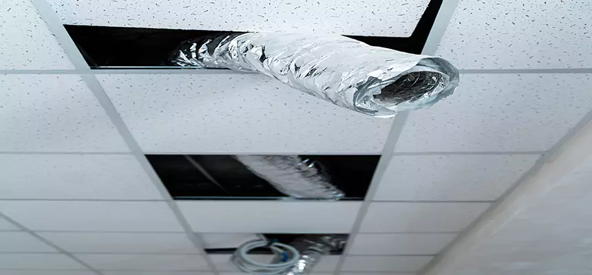 Our Air Duct Pet Hair Removal Services in New Berlin, WI