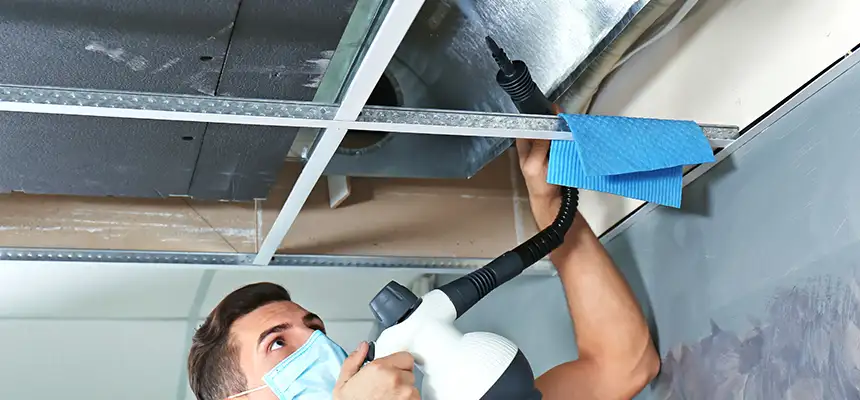 Our Air Duct Rodent Removal Services in New Berlin, WI