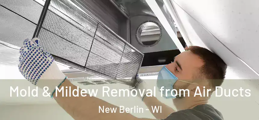 Mold & Mildew Removal from Air Ducts New Berlin - WI