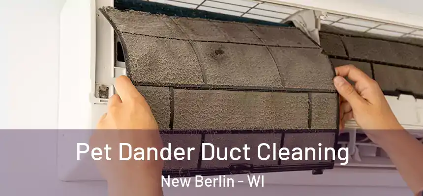 Pet Dander Duct Cleaning New Berlin - WI