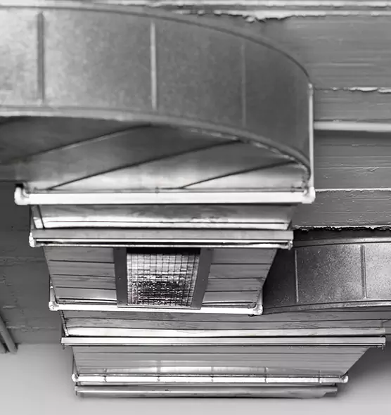 Professional Air Duct Pest Removal in New Berlin, WI