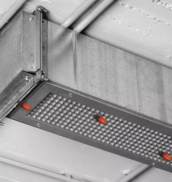 Affordable Insect Removal from Air Ducts in New Berlin, WI