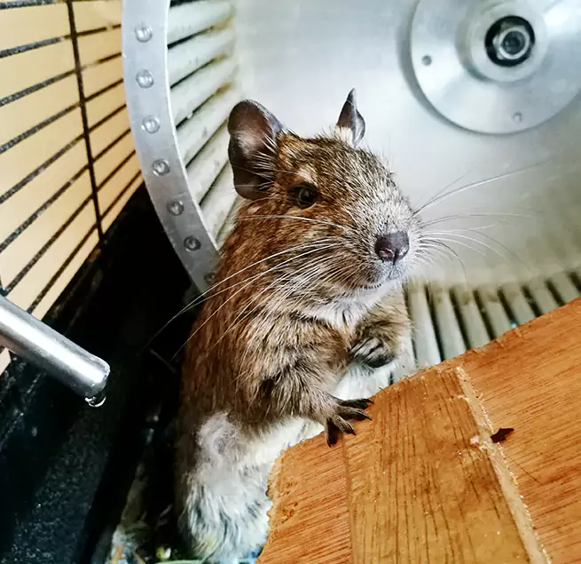 Why Homeowners & Businesses Trust Us New Berlin, WI